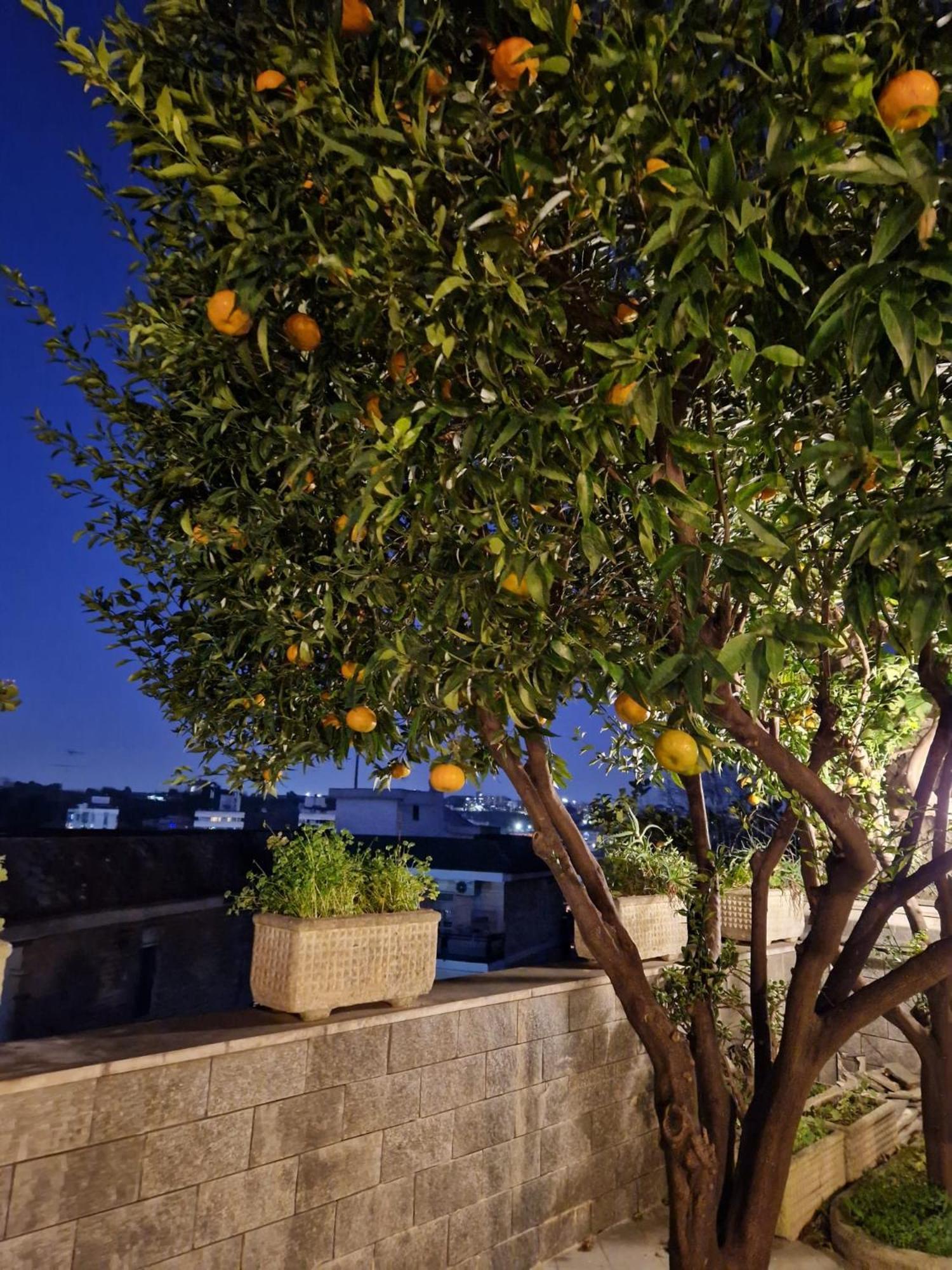 Fuga A Napoli Apartment 外观 照片